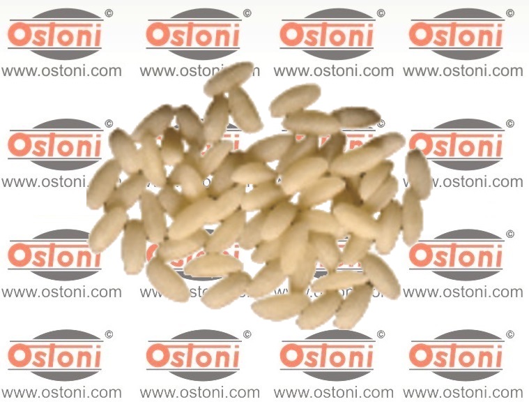 Bottene Inver 7 - TRAFILA FORMATO Casereccia con inserti in bronzo e teflon