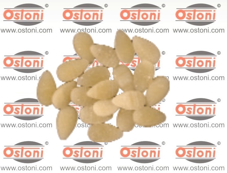 Bottene Inver 7 - TRAFILA FORMATO Fusilli a 2 principi con inserti in bronzo e teflon