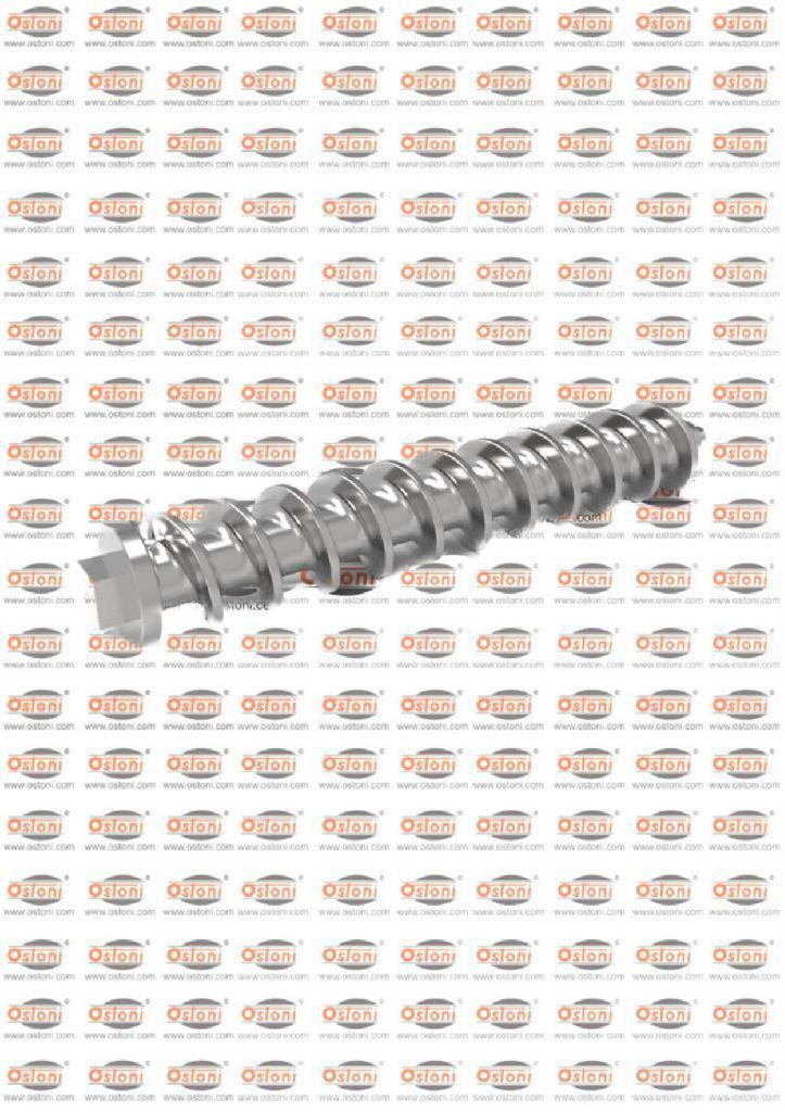 LB Italia Futura Evolution 120 - Vite di estrusione per macchina combinata LB Italia modello Futura Evolution 120