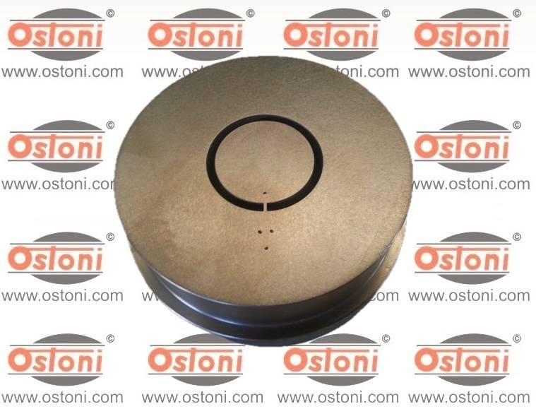 Ostoni P55R - TRAFILA FORMATO Sfoglia a spessore fisso CON INSERTI IN Bronzo