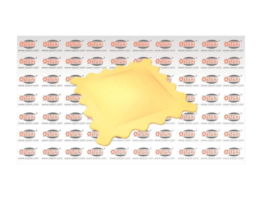 Dominioni Punto & Pasta RS160 - Stampo per raviolatrice a doppia sfoglia formato quadrato mm. 70